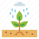 garden, growth, plant, rain