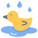 duck, float, pool, rain, wet