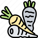 parsnip, ingredient, food, vegetable, root