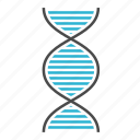 biology, dna, experiment, genetic, laboratory, medicine, science