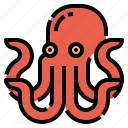 marine, aquatic, octopus, animal, sea, food