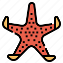 marine, aquatic, starfish, star, animal, sea