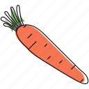 carrot, food, vegetable, organic, fresh, root