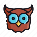 owl, night, rest, sleep, sleeping