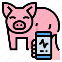 analysis, animal, data, farm, pig, smart