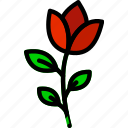 flower, garden, plant, rose, soil