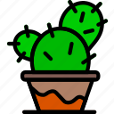 cactus, flower, garden, plant, soil