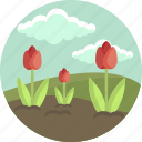 tulip, floral, nature, spring, flower, landscape