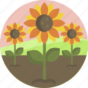 floral, nature, spring, sunflower, flower, landscape