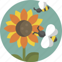 bee, sunflower, flower, spring, nature