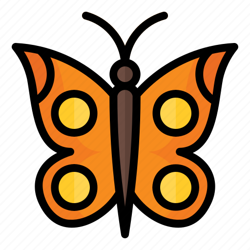 Spring, season, nature, animal, bug, butterfly icon - Download on Iconfinder