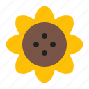 flower, spring, sunflower