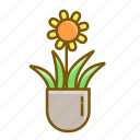 floral, flower, plant, pot