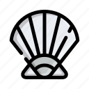 shell, sea, ocean, vector, seashell, beach, scallop