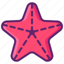 animal, sea, star, starfish