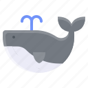 animal, mammal, summer, whale