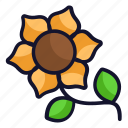 flora, flower, sunflower, thanksgiving