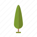 .svg, forest, jungle, nature, perennial, pine, tree