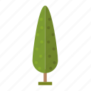 .svg, forest, jungle, nature, perennial, pine, tree