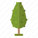 .svg, forest, jungle, nature, perennial, pine, tree