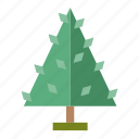 .svg, forest, infographic, nature, perennial, pine, tree