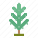 .svg, forest, infographic, nature, perennial, pine, tree