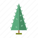 .svg, forest, infographic, nature, perennial, pine, tree