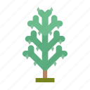 .svg, forest, infographic, nature, perennial, pine, tree