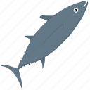 animal, fish, shark, whale, wildlife