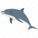 animal, fish, mammal, sea life, whale