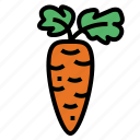 carrot, diet, food, vegan