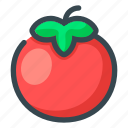 food, tomato, vegetable