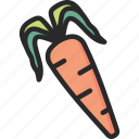 carrot, root, vegetable