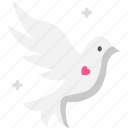 bird, dove, fly, peace, pigeon