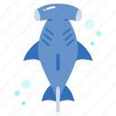 hammer, shark, ocean, animal, sea, nature