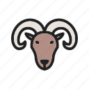 aries, zodiac, astrology, sign