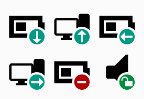 Symbol Duo Common 4