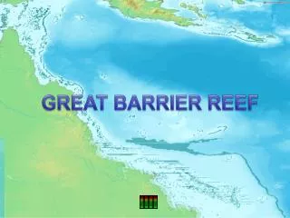 GREAT BARRIER REEF