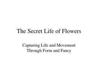 The Secret Life of Flowers