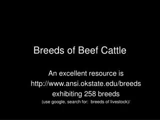 Breeds of Beef Cattle