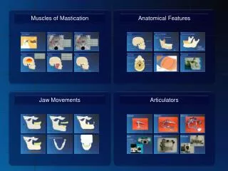 Muscles of Mastication