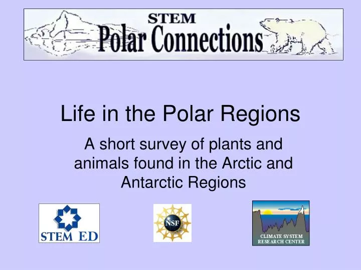 life in the polar regions