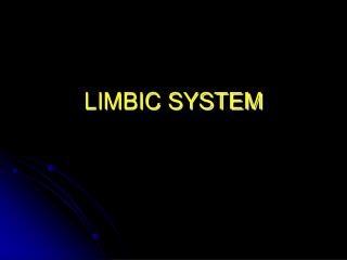 LIMBIC SYSTEM