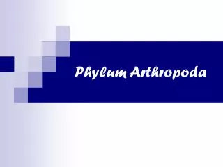 Phylum Arthropoda