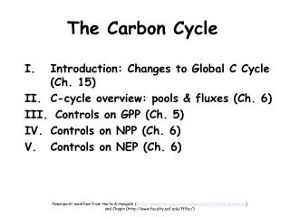 The Carbon Cycle