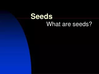 Seeds