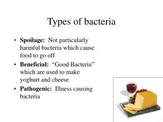 Types of bacteria