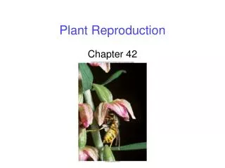 Plant Reproduction