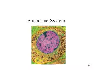 Endocrine System