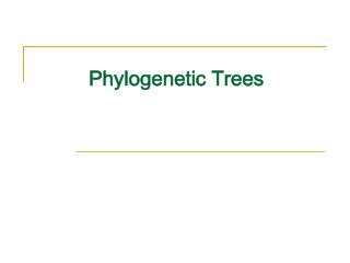 Phylogenetic Trees